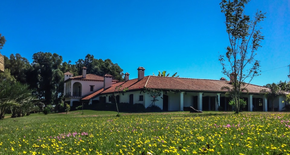Imagen cortesía de pinosdelaquebrada (pinosdelaquebrada.com), todos los derechos reservados mejor época del año para visitar Uruguay